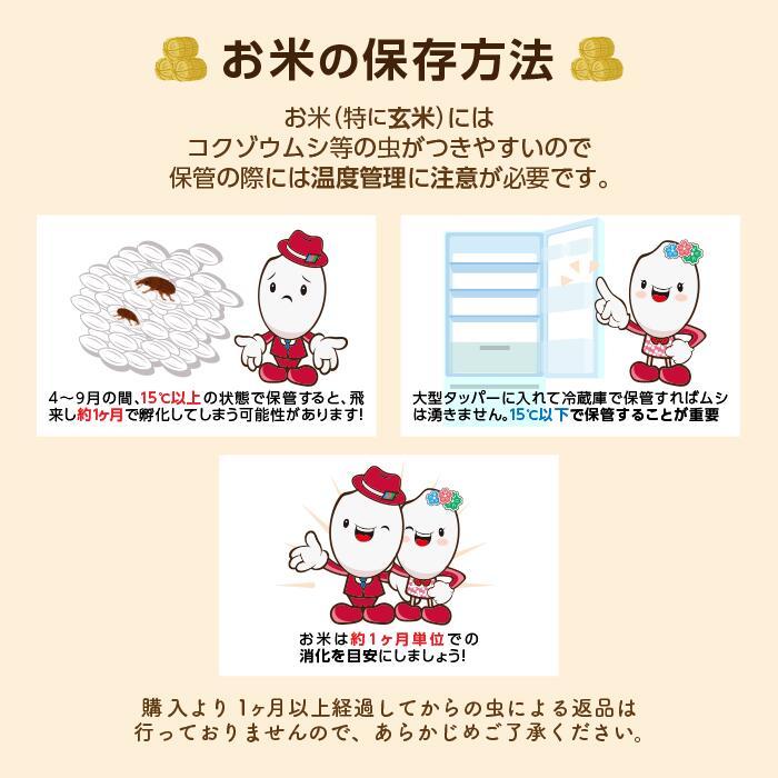 【厳選米！玄米】令和7年 特別栽培米 宮城県産 ステビア栽培米ひとめぼれ 玄米30kg（10kg×3袋） 【送料無料】_2