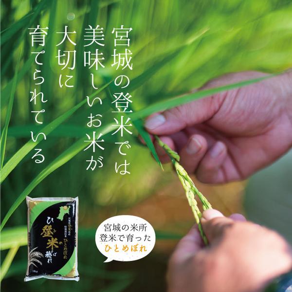 令和5年産【厳選米】特別栽培 宮城県産 環境保全米 ひとめぼれ 玄米