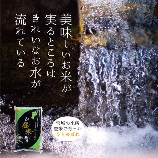 令和5年産【厳選米】特別栽培 宮城県産 環境保全米 ひとめぼれ