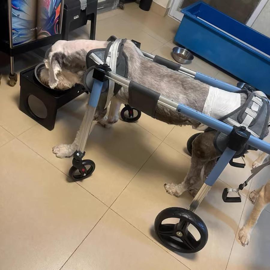 『ポイント5倍!期間限定!』犬 車椅子 フルサポート 大型犬 犬用車椅子 4/2 輪 大型?中型?小型犬用調節可能な犬用移動カート 前輪と後輪付き負傷ペット用脚装具カ_8