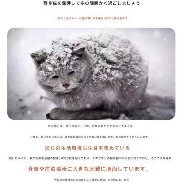 小屋 猫 ハウス 外猫ハウス 屋外 防水 野外猫ハウス 湿気を防ぐ 寒さに耐える 清潔にしやすい 風を遮る 雨を防ぐ 耐久性 永続保温 野良猫 子犬 冬 折りたたみ式 |  | 03