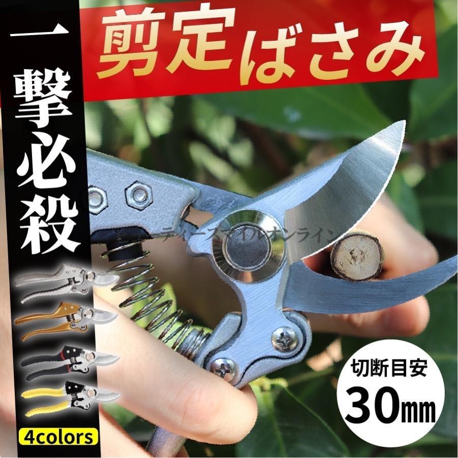 剪定鋏 太い枝3cm切断可能 造園ガーデニング用 高耐久刃 植木剪定ハサミ 家庭園芸から業務用まで 滑り止めグリップ 省スペース収納 こだわりの園芸道