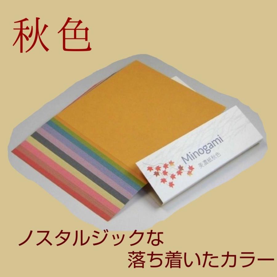 美濃紙折り紙春夏秋冬　15cm×15cm　10色×10枚　100枚入り　折り紙・ちぎり絵・素材和紙　ステイホーム　折り紙　母の日・五月人形の飾りつけ |  | 07