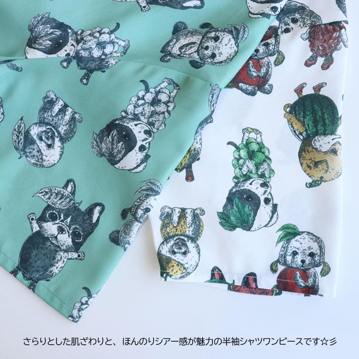 ScoLar（スカラー） 総柄 シャツワンピース ワンピース スカート
