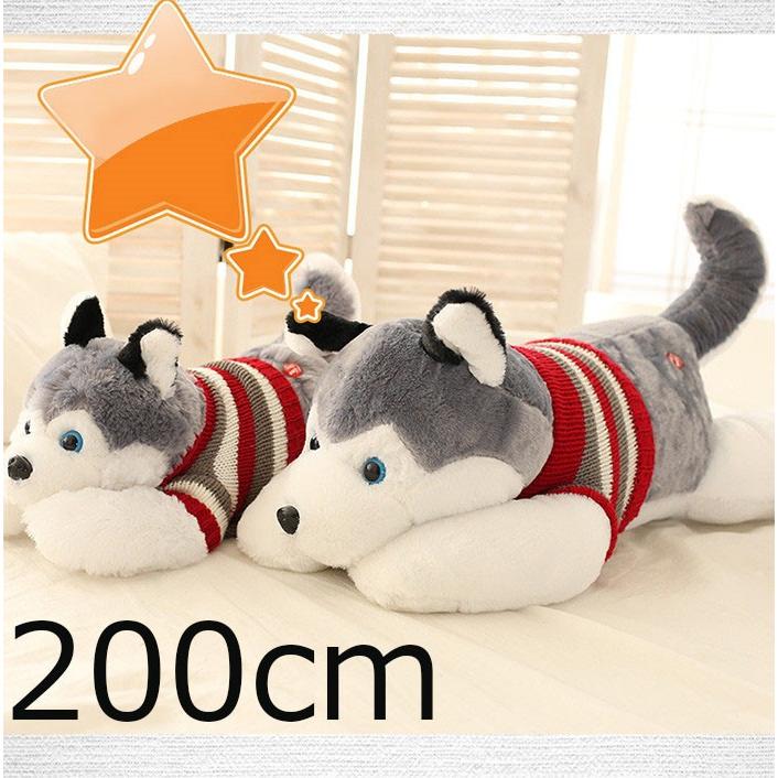 送料無料 ぬいぐるみ ビッグ Dog 癒し 子供 彼氏 彼女 家族 100cm 150cm 0cm 子供部屋 インテリア お祝 出産 お誕生日 内祝 贈り物mrwj60 Fumrwj60 Mitomi 通販 Yahoo ショッピング