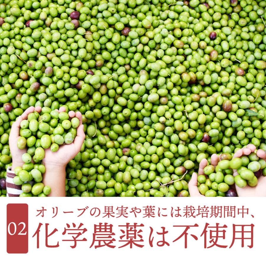 オリーブオイル 100％香川県産　エキストラバージンオリーブオイル「 あかつき （ルッカ種）182ｇ」国産　プレミアム　最高級 |  | 08