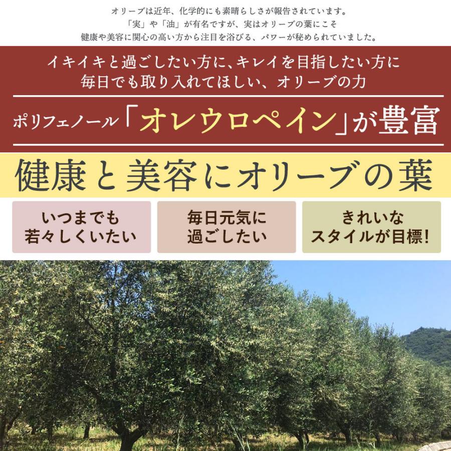 オリーブオイル ギフト 100％香川県産　エキストラバージンオリーブオイル「 あかつき ルッカ182g&オリーブ焙茶セット」|お歳暮 お中元 国産 手土産 最高級 |  | 15