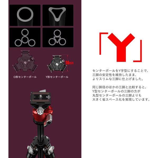 Leofoto レオフォト LY-224C+LH-25R(BK) カーボン三脚 ブラック : 三星  