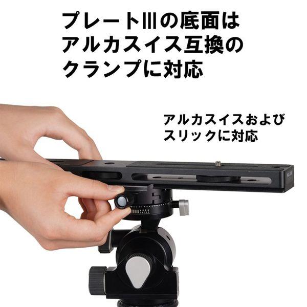 スリック プレートIIIの画像