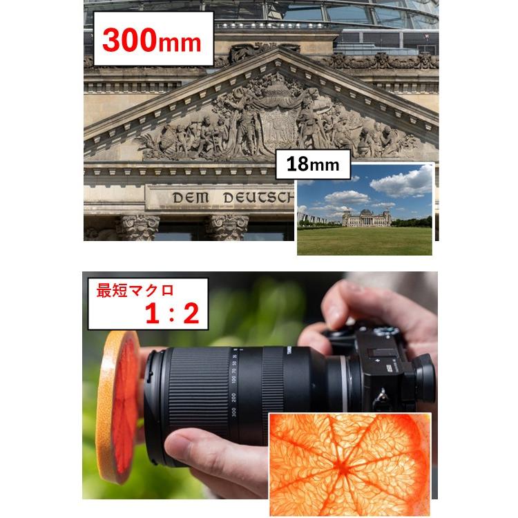 10年間保証付き  タムロン 18-300mm F/3.5-6.3 Di III-A VC VXD (Model B061)ソニーEの画像