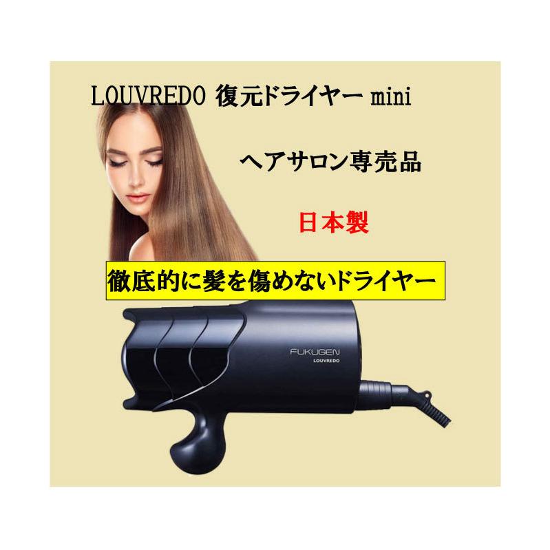 お気に入り 復元ドライヤーミニ agapeeurope.org