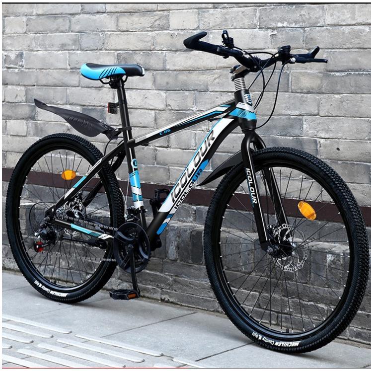 自転車 バイク マウンテンバイク 太いタイヤ 21 24 27 30段変速 24 