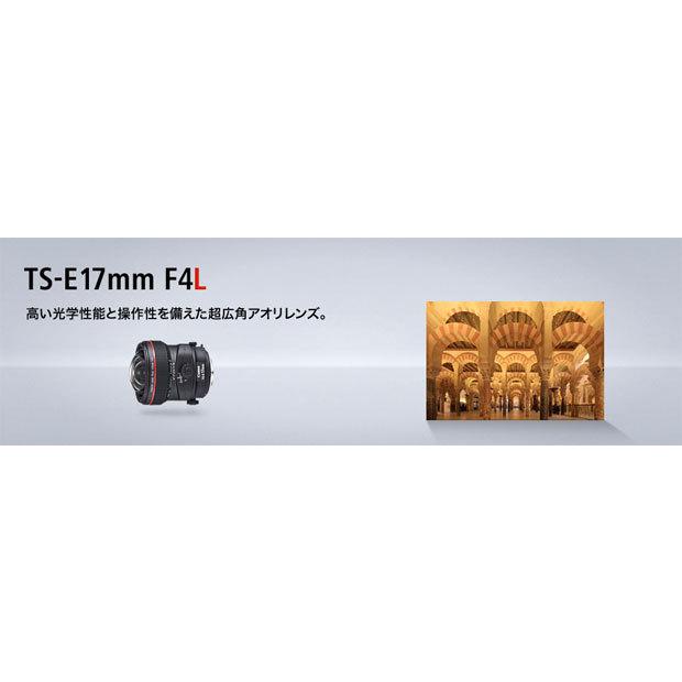 EFレンズ Canon TS-E17mmF4L キヤノンEFマウント超広角ティルト EFレンズ Canon TS-E17mmF4L キヤノンEFマウント超広角ティルト