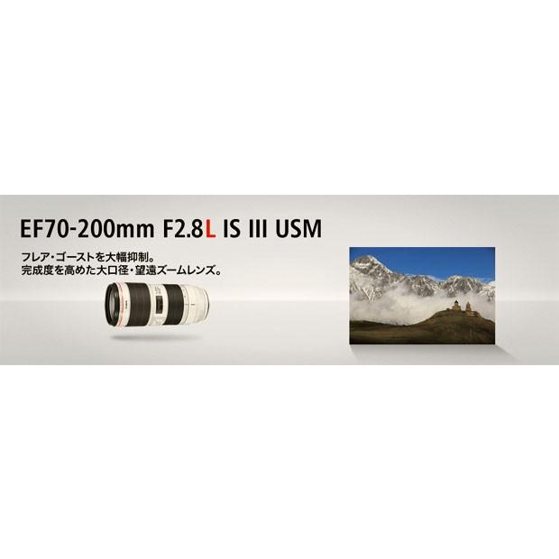 キヤノン EF70-200mm F2.8L IS III USM 手ブレ補正付大口径望遠 キヤノン EF70-200mm F2.8L IS III USM 手ブレ補正付大口径望遠
