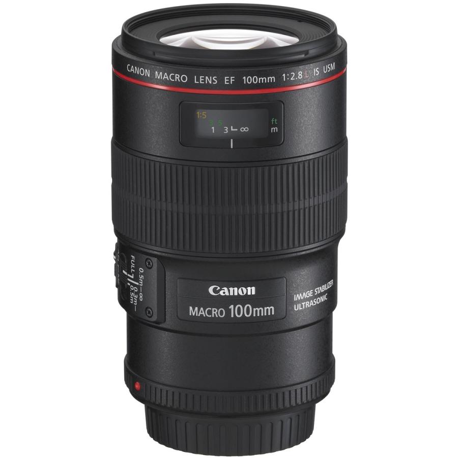 Canon EF100mm F2.8Lマクロ IS USM 1:1等倍マクロレンズ :canon