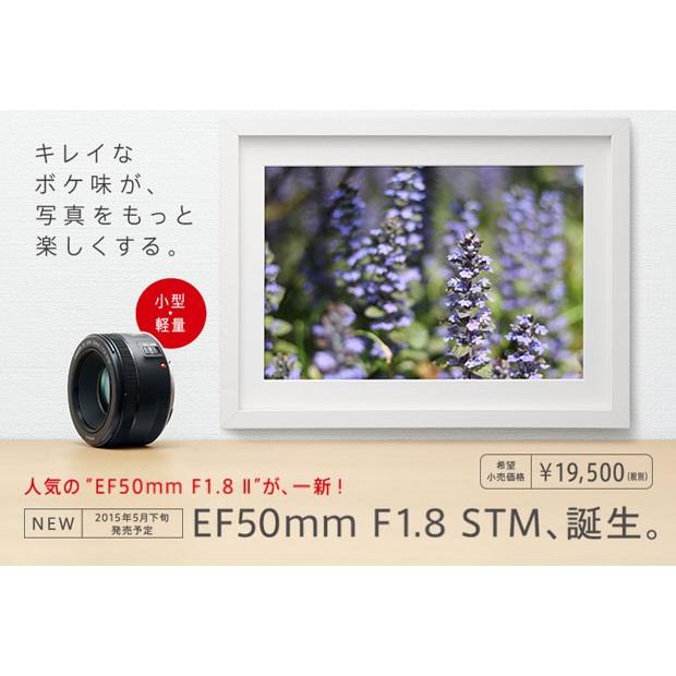 EFレンズ キヤノン EF50mm F1.8 STM 標準レンズ 『納期2ヶ月程度