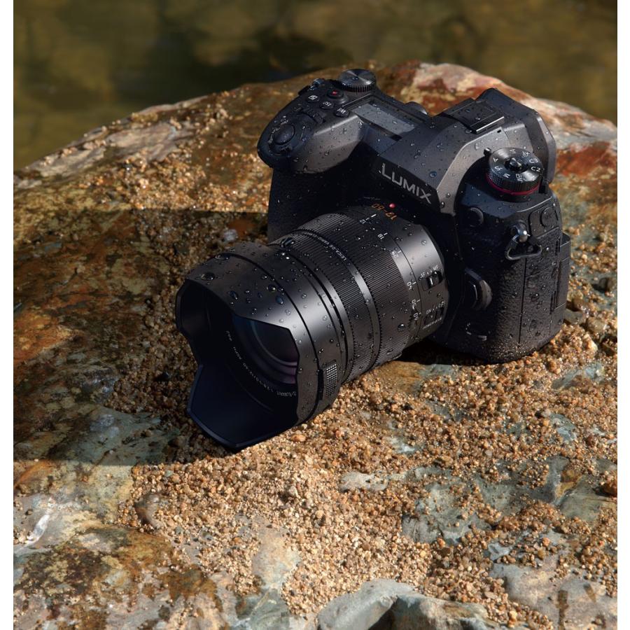 LUMIX [3年保険+peakdesign ストラップ+予備充電池付] Panasonic G9