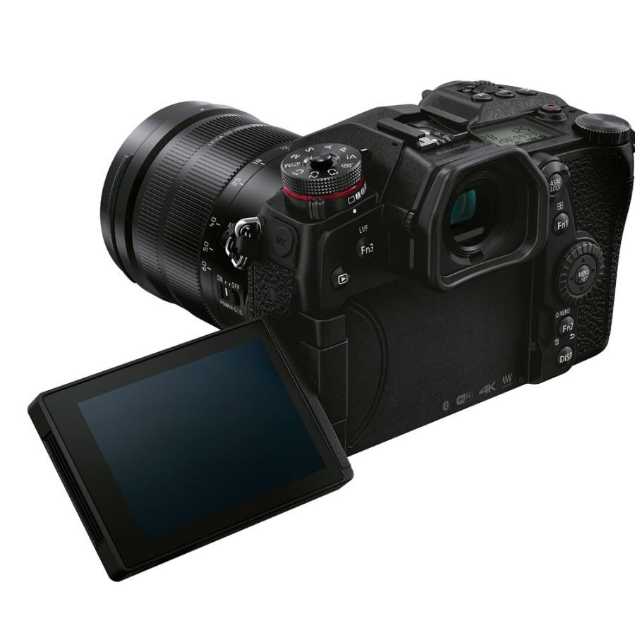 LUMIX [3年保険+peakdesign ストラップ+予備充電池付] Panasonic G9
