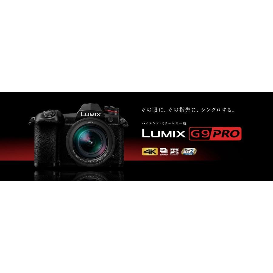 LUMIX [3年保険+peakdesign ストラップ+予備充電池付] Panasonic G9