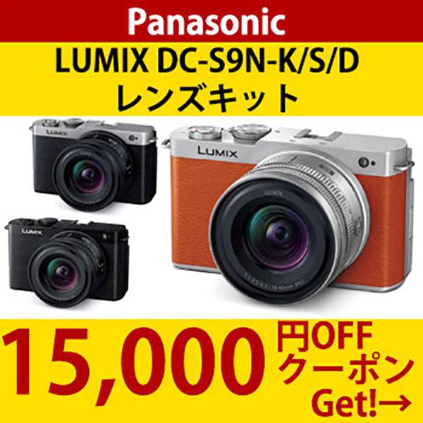 Panasonic LUMIX S9 ミラーレス一眼小型広角ズームレンズキット DC-S9N
