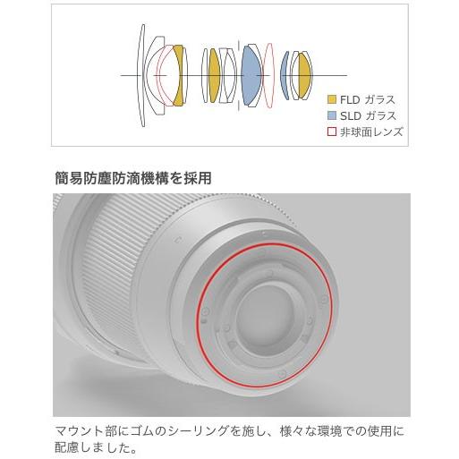 Sigma 16mm F1 4 Dc Dn Contemporary マイクロフォーサーズマウント大口径広角レンズ Sigma 16f14dc Dn カメラのミツバ 通販 Yahoo ショッピング