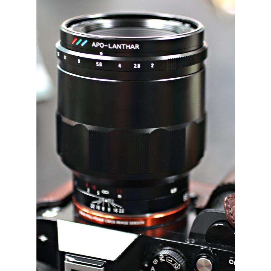 フォクトレンダー マクロアポランター65mm F2 Aspherical E フォクトレンダー マクロアポランター65mm F2 Aspherical E