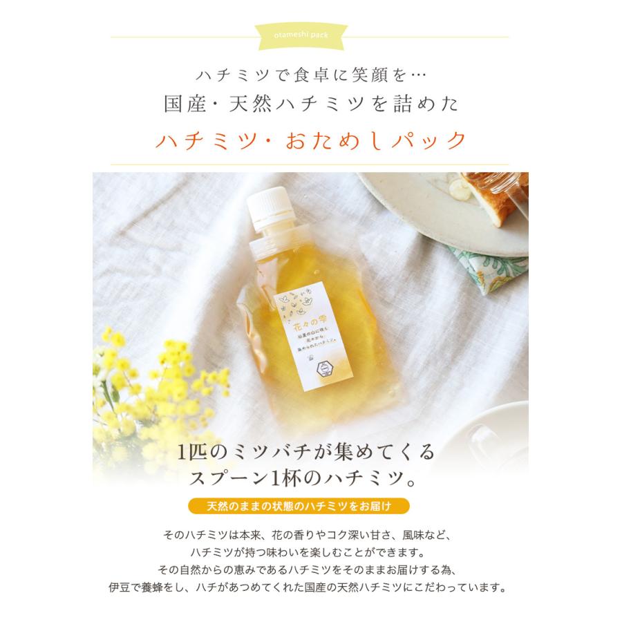 はちみつ 国産 純粋 非加熱 選べる お試し 5種類から選べる パウチ