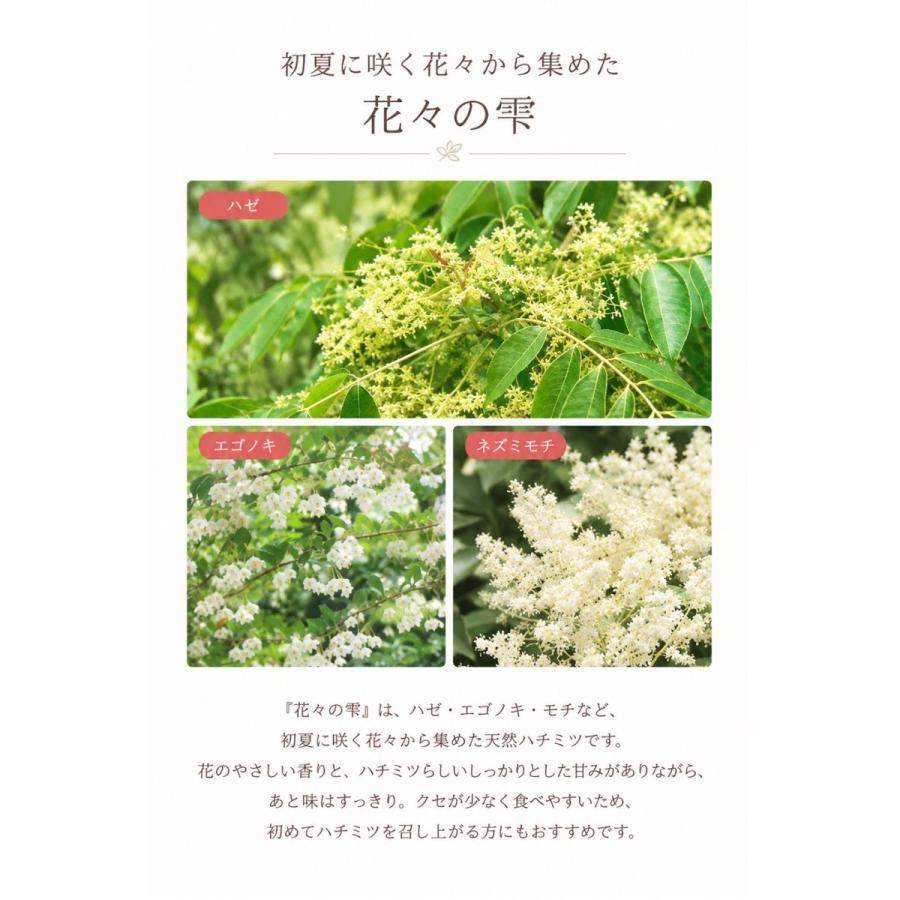 はちみつ 国産 蜂蜜 ハチミツ 純粋 非加熱 花々の雫 チューブタイプ