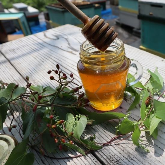 はちみつ 国産 蜂蜜 ハチミツ 純粋 非加熱 清夏の薫り 瓶タイプ 600g
