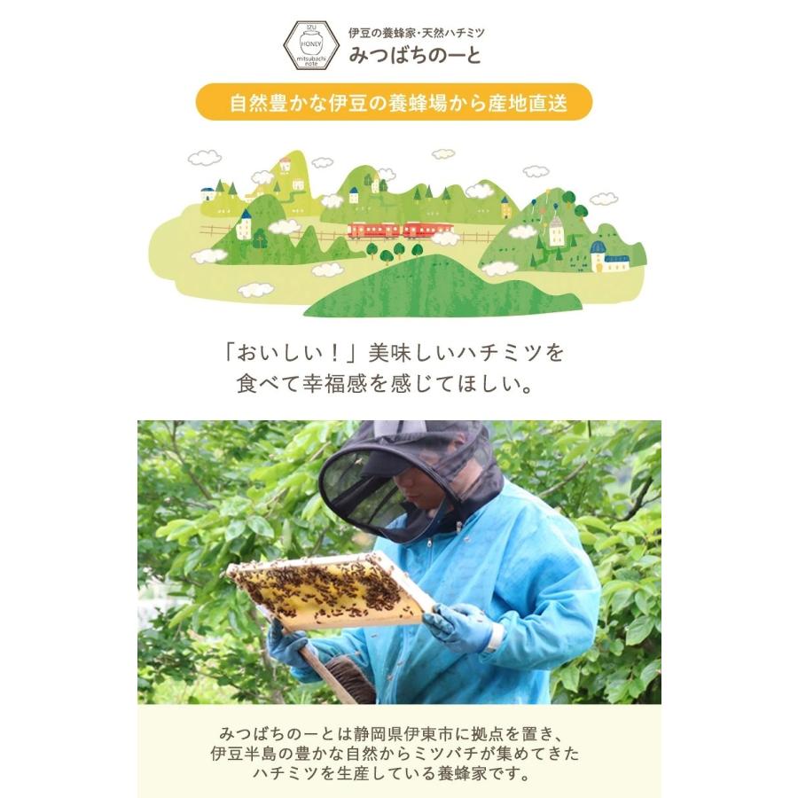 はちみつ 国産 純粋 非加熱 選べる 5種類 純国産100% 天然 生はちみつ