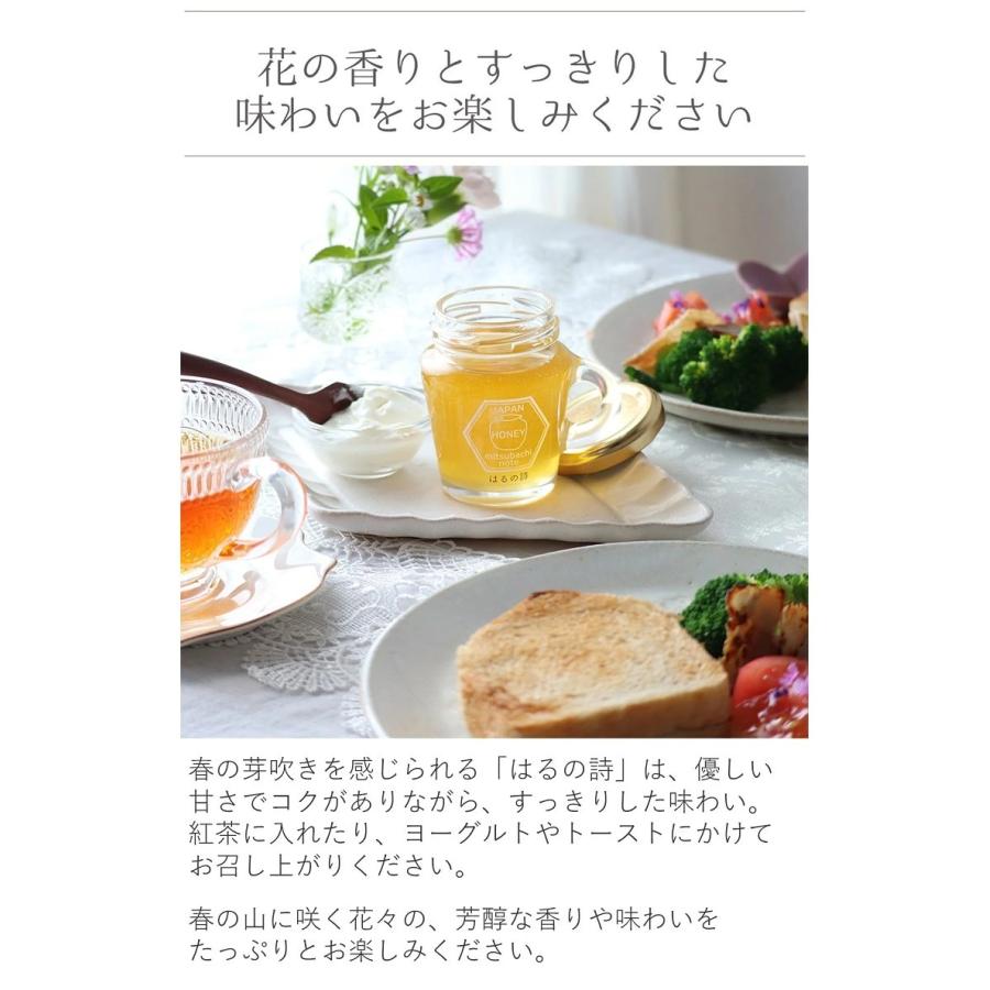 はちみつ 国産 蜂蜜 ハチミツ 純粋 非加熱 はるの詩 600g 天然 生