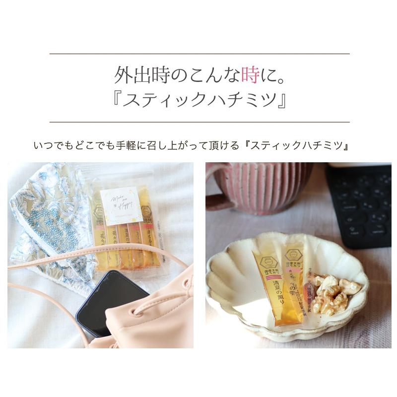 はちみつ 国産 純粋 非加熱 選べる 5種ミックス 10本入 スティック