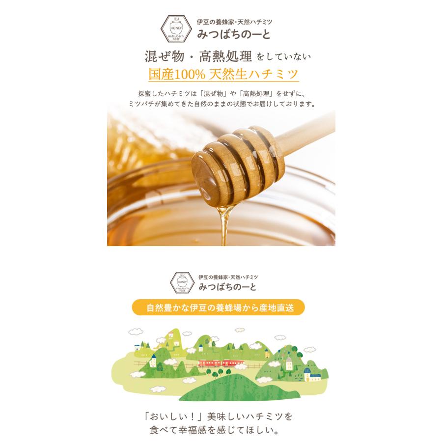 はちみつ 国産 純粋 非加熱 選べる 5種ミックス 10本入
