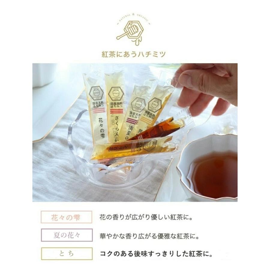 はちみつ 国産 純粋 非加熱 選べる 5種ミックス 10本入 スティック