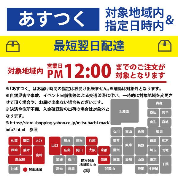 「10個セット」 魔女っ粉 洗濯補助洗浄剤 （150g） 加齢臭・体臭用 粉末 柿渋 酵素の画像
