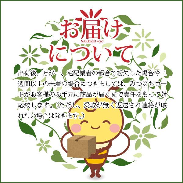 お手軽 2個セット おまけ付」 プロハーブ EM クリームII （140g