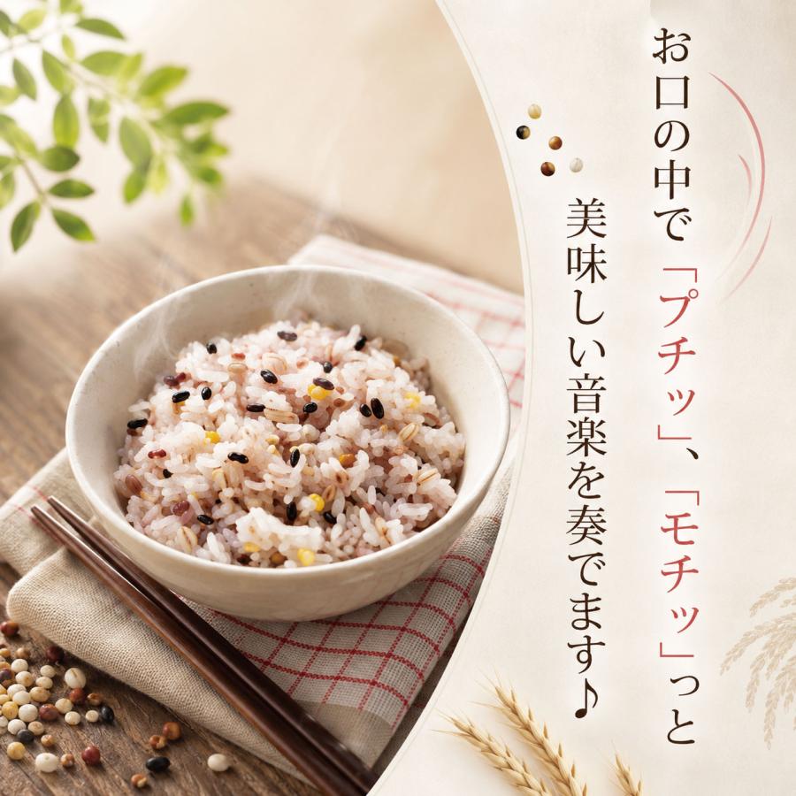 米・雑穀・粉類 GUCHIO お手軽」 十六穀ごはん （25g×22包） 550g 雑穀 雑穀米 雑穀まい