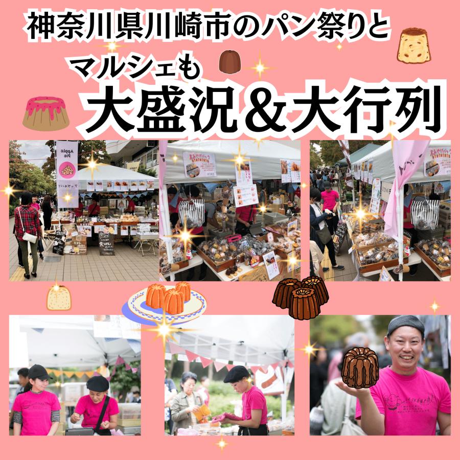 送料無料 カヌレ 3個入り 各種1個 3種のアソートカヌレ 構想から20年の 日本人向け しっとり ジューシー カヌレ バニラカヌレ 苺カヌレ レモンカヌレ |  | 11