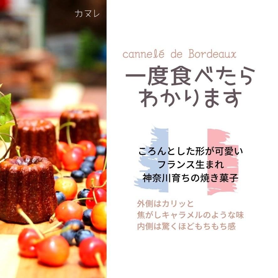 送料無料 カヌレ 3個入り 各種1個 3種のアソートカヌレ 構想から20年の 日本人向け しっとり ジューシー カヌレ バニラカヌレ 苺カヌレ レモンカヌレ |  | 19