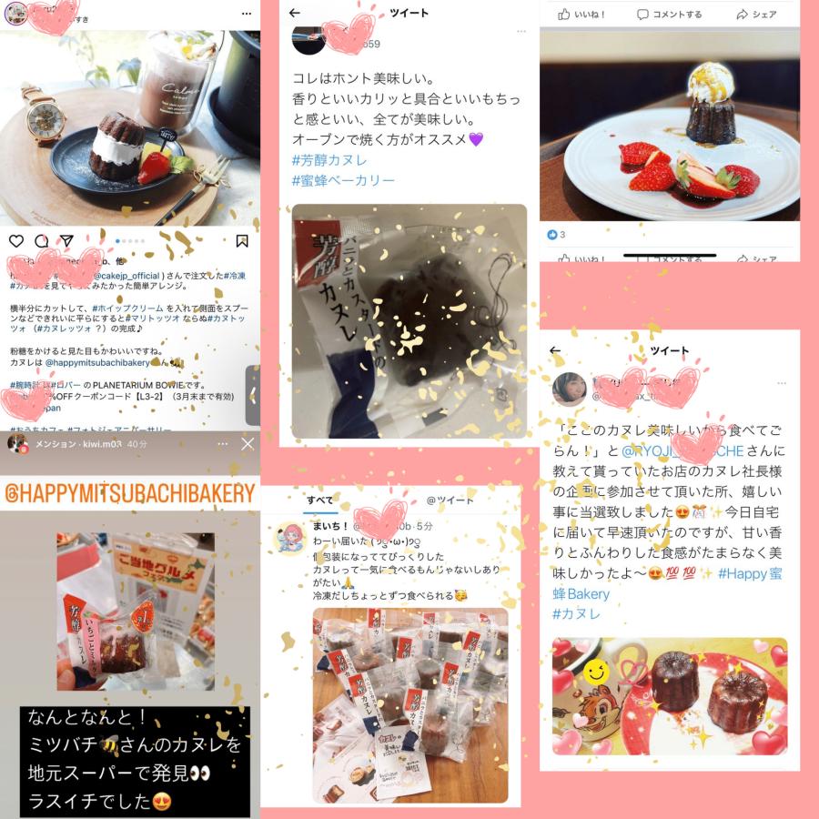 送料無料 カヌレ 3個入り 各種1個 3種のアソートカヌレ 構想から20年の 日本人向け しっとり ジューシー カヌレ バニラカヌレ 苺カヌレ レモンカヌレ |  | 05