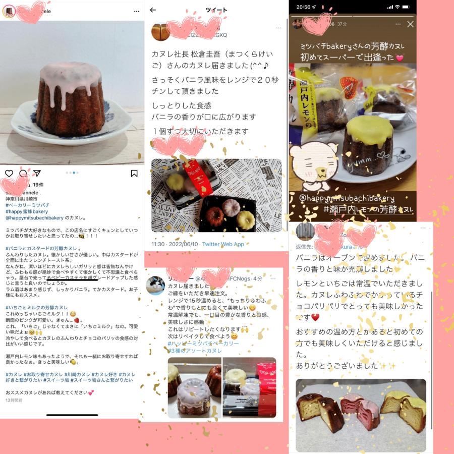 送料無料 カヌレ 3個入り 各種1個 3種のアソートカヌレ 構想から20年の 日本人向け しっとり ジューシー カヌレ バニラカヌレ 苺カヌレ レモンカヌレ |  | 07