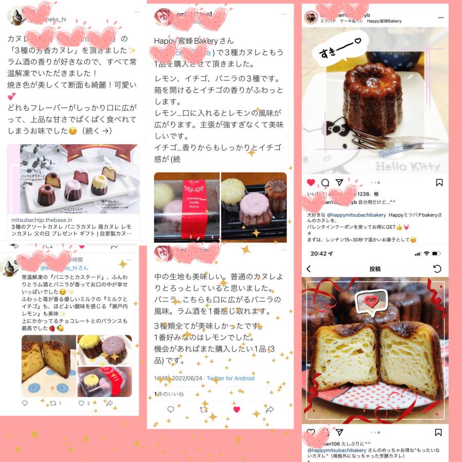 送料無料 カヌレ 3個入り 各種1個 3種のアソートカヌレ 構想から20年の 日本人向け しっとり ジューシー カヌレ バニラカヌレ 苺カヌレ レモンカヌレ |  | 08