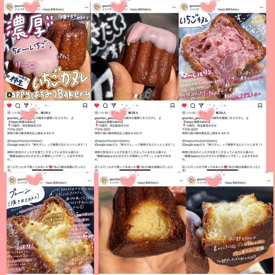 送料無料 カヌレ 3個入り 各種1個 3種のアソートカヌレ 構想から20年の 日本人向け しっとり ジューシー カヌレ バニラカヌレ 苺カヌレ レモンカヌレ |  | 09