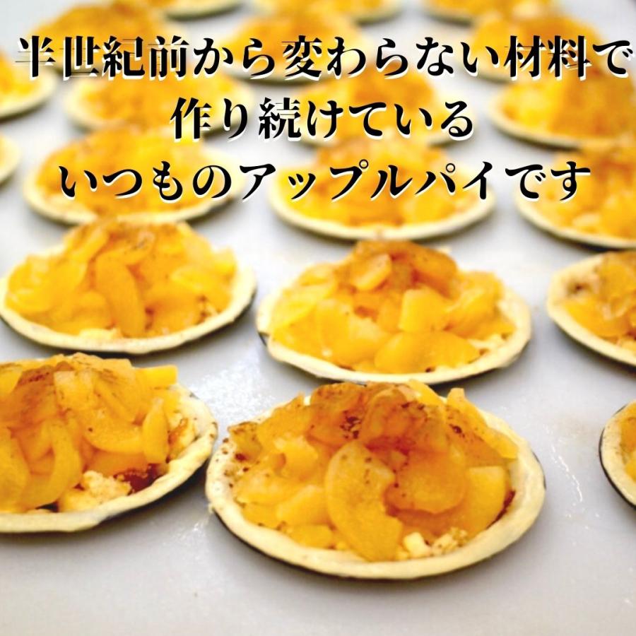 大盛り アップルパイ 直径 15ｃｍ 5号 サイズ 冷凍 自家製 長野県産 フジ りんご スイーツ ケーキ 洋菓子 焼き菓子 お菓子 グルメ 食品 食べ物 東京 土産 Omoriap ケーキとパン ミツバチヤフー店 通販 Yahoo ショッピング