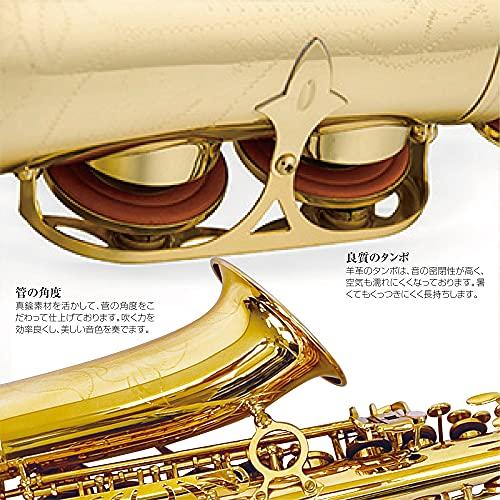 アルトサックス 11点セット E Saxophone ゴールドラッカー ケース付き 彫刻入り 初心者 サックス 入門セット :s