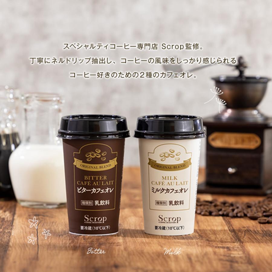 カフェオレ ギフト プレゼント ミルク チルドコーヒー 12本 カフェオレ ギフト プレゼント ミルク チルドコーヒー 12本