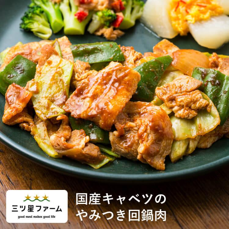 冷凍食品 お弁当 国産キャベツのやみつき回鍋肉 レンジ調理 野菜 冷凍弁当 宅配 おかず 時短調理 惣菜 健康 カロリー 減塩 栄養バランス 豚肉 回鍋肉 Mb 三ツ星ファーム 通販 Yahoo ショッピング