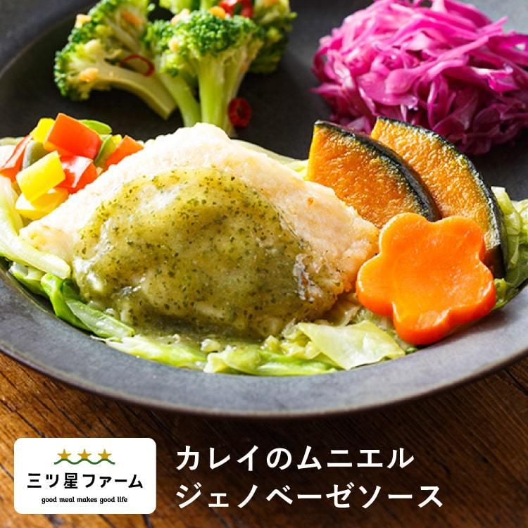 冷凍食品 お弁当 カレイのムニエルジェノベーゼソース レンジ調理 野菜 冷凍弁当 宅配 おかず 時短調理 惣菜 健康 カロリー 減塩 栄養バランス Mb 三ツ星ファーム 通販 Yahoo ショッピング