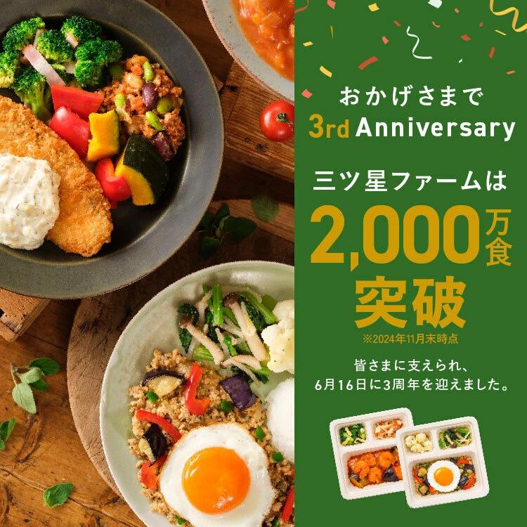 三ツ星ファーム 冷凍弁当 お弁当 おかず 人気セレクト 14食セット 冷凍