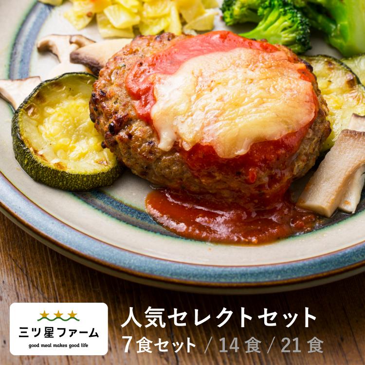 冷凍食品 お弁当 7食セット 人気セレクト 一人暮らし 三ツ星 冷凍食品 お弁当 7食セット 人気セレクト 一人暮らし 三ツ星